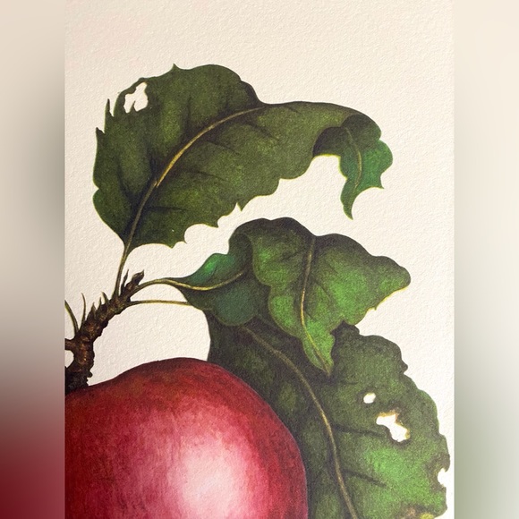 JONALICIOUS APPLE fine art print - Picture 2 of 6